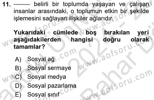 Dijital İçerik Pazarlaması Dersi 2024 - 2025 Yılı (Vize) Ara Sınav Soruları 11. Soru
