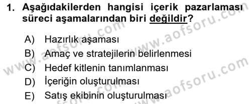 Dijital İçerik Pazarlaması Dersi 2024 - 2025 Yılı (Final) Dönem Sonu Sınav Soruları 1. Soru