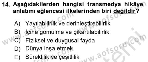 Dijital İçerik Pazarlaması Dersi 2024 - 2025 Yılı (Final) Dönem Sonu Sınav Soruları 14. Soru