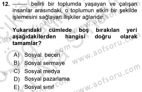 Dijital İçerik Pazarlaması Dersi 2025 - 2026 Yılı (Vize) Ara Sınav Soruları 12. Soru