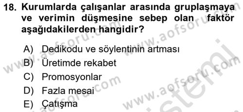 Kurumiçi Halkla İlişkiler Dersi 2023 - 2024 Yılı (Final) Dönem Sonu Sınav Soruları 18. Soru