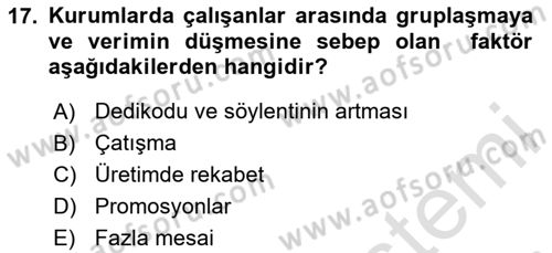 Kurumiçi Halkla İlişkiler Dersi 2023 - 2024 Yılı Yaz Okulu Sınav Soruları 17. Soru