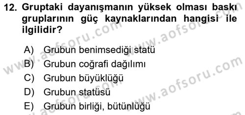 Lobicilik Ve Halkla İlişkiler Dersi 2018 - 2019 Yılı Yaz Okulu Sınav Soruları 12. Soru
