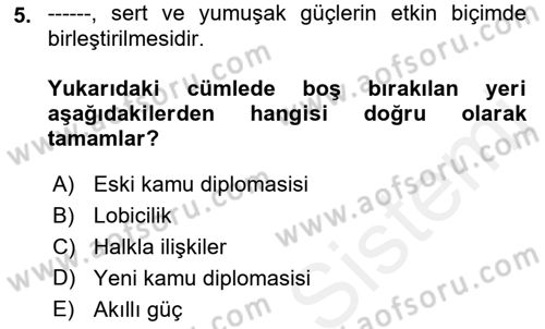 Kamu Diplomasisi Ve Uluslararası Halkla İlişkiler Dersi 2018 - 2019 Yılı (Final) Dönem Sonu Sınavı 5. Soru