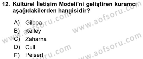 Kamu Diplomasisi Ve Uluslararası Halkla İlişkiler Dersi 2021 - 2022 Yılı (Vize) Ara Sınav Soruları 12. Soru