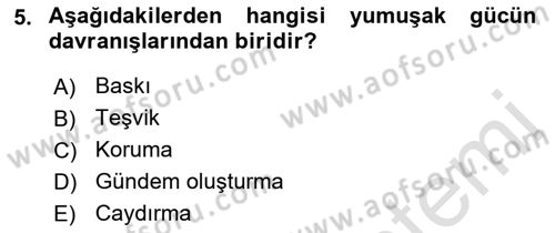 Kamu Diplomasisi Ve Uluslararası Halkla İlişkiler Dersi 2021 - 2022 Yılı Yaz Okulu Sınav Soruları 5. Soru