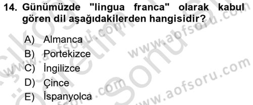 Kamu Diplomasisi Ve Uluslararası Halkla İlişkiler Dersi 2023 - 2024 Yılı (Final) Dönem Sonu Sınav Soruları 14. Soru