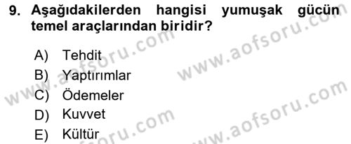 Kamu Diplomasisi Ve Uluslararası Halkla İlişkiler Dersi 2024 - 2025 Yılı (Vize) Ara Sınav Soruları 9. Soru