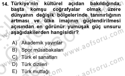 Kamu Diplomasisi Ve Uluslararası Halkla İlişkiler Dersi 2025 - 2026 Yılı (Final) Dönem Sonu Sınav Soruları 14. Soru