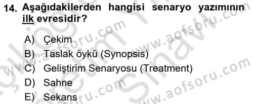 Medyada Yapım	 Dersi 2021 - 2022 Yılı (Vize) Ara Sınav Soruları 14. Soru