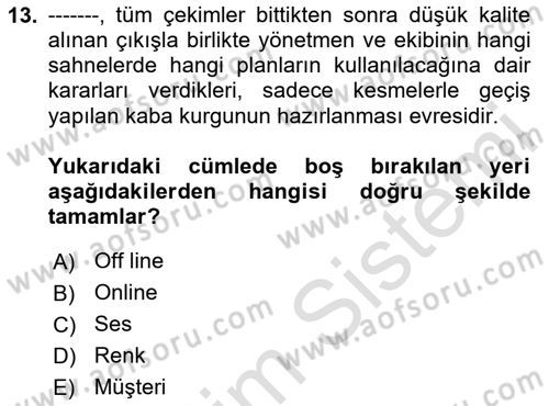 Medyada Yapım	 Dersi 2023 - 2024 Yılı Yaz Okulu Sınav Soruları 13. Soru