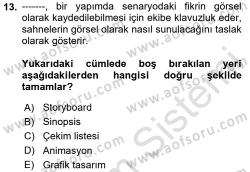 Medyada Yapım	 Dersi 2024 - 2025 Yılı (Vize) Ara Sınav Soruları 13. Soru