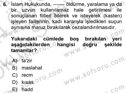 Hukukun Temel Kavramları Dersi 2023 - 2024 Yılı Yaz Okulu Sınav Soruları 6. Soru