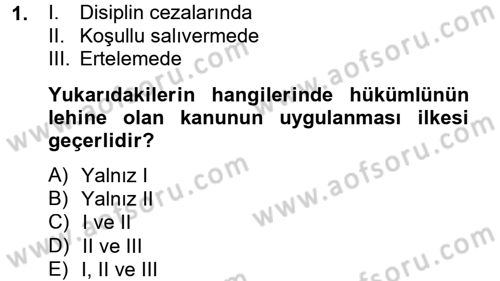 İnfaz Hukuku Dersi 2012 - 2013 Yılı (Vize) Ara Sınav Soruları 1. Soru