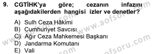 İnfaz Hukuku Dersi 2012 - 2013 Yılı (Vize) Ara Sınav Soruları 9. Soru