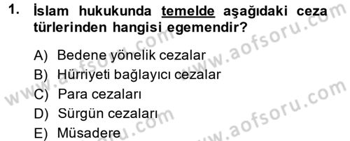 İnfaz Hukuku Dersi 2014 - 2015 Yılı (Vize) Ara Sınav Soruları 1. Soru