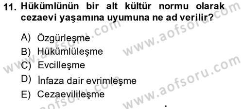 İnfaz Hukuku Dersi Ara Sınavı Deneme Sınav Soruları 11. Soru
