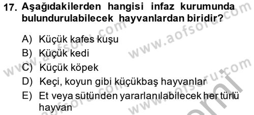 İnfaz Hukuku Dersi 2014 - 2015 Yılı (Vize) Ara Sınav Soruları 17. Soru