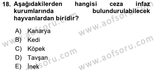 İnfaz Hukuku Dersi Ara Sınavı Deneme Sınav Soruları 18. Soru