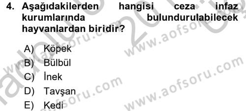 İnfaz Hukuku Dersi 2016 - 2017 Yılı 3 Ders Sınav Soruları 4. Soru