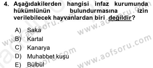 İnfaz Hukuku Dersi 2017 - 2018 Yılı 3 Ders Sınav Soruları 4. Soru