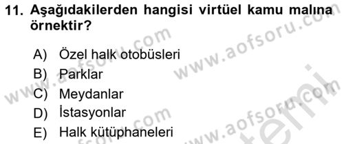 İdare Hukukuna Giriş Dersi 2024 - 2025 Yılı (Vize) Ara Sınav Soruları 11. Soru