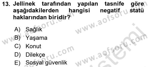 Türk Anayasa Hukuku Dersi Ara Sınavı Deneme Sınav Soruları 13. Soru