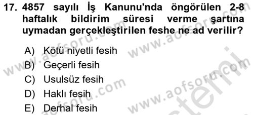 İş Ve Sosyal Güvenlik Hukuku Dersi 2024 - 2025 Yılı (Vize) Ara Sınav Soruları 17. Soru