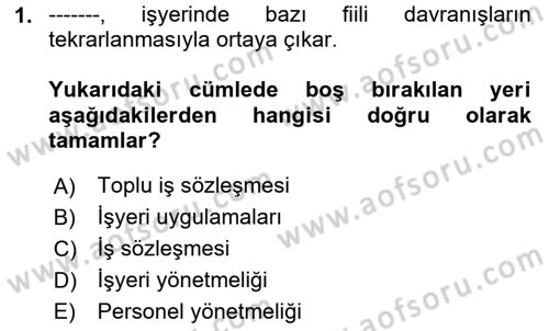 İş Ve Sosyal Güvenlik Hukuku Dersi 2024 - 2025 Yılı (Final) Dönem Sonu Sınav Soruları 1. Soru