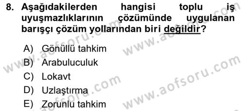 İş Ve Sosyal Güvenlik Hukuku Dersi 2024 - 2025 Yılı (Final) Dönem Sonu Sınav Soruları 8. Soru
