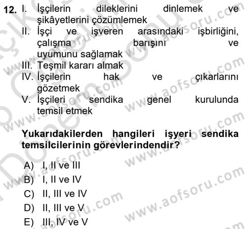 İş Ve Sosyal Güvenlik Hukuku Dersi 2025 - 2026 Yılı (Final) Dönem Sonu Sınav Soruları 12. Soru