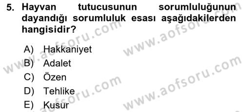 Borçlar Hukuku Dersi 2018 - 2019 Yılı Yaz Okulu Sınav Soruları 5. Soru