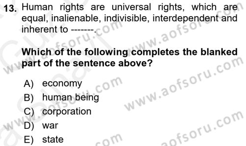 Introduction to Law Dersi Ara Sınavı Deneme Sınav Soruları 13. Soru