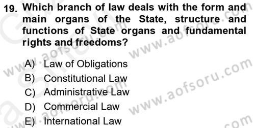Introduction to Law Dersi Ara Sınavı Deneme Sınav Soruları 19. Soru