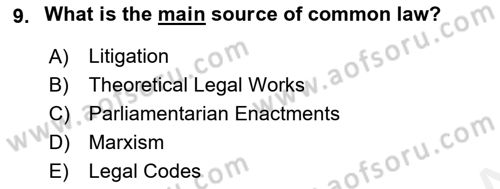 Introduction to Law Dersi 2018 - 2019 Yılı (Vize) Ara Sınav Soruları 9. Soru