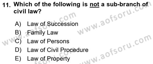Introduction to Law Dersi 2018 - 2019 Yılı (Final) Dönem Sonu Sınav Soruları 11. Soru