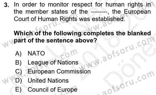 Introduction to Law Dersi 2018 - 2019 Yılı (Final) Dönem Sonu Sınav Soruları 3. Soru