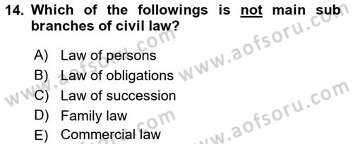 Introduction to Law Dersi 2018 - 2019 Yılı Yaz Okulu Sınav Soruları 14. Soru