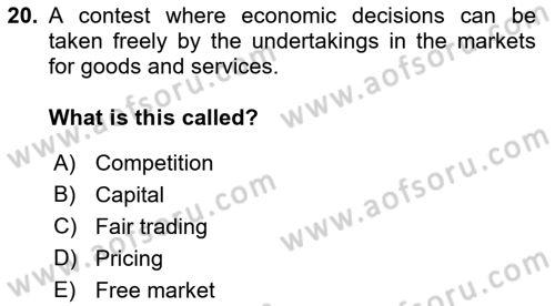 Introduction to Law Dersi 2018 - 2019 Yılı Yaz Okulu Sınav Soruları 20. Soru