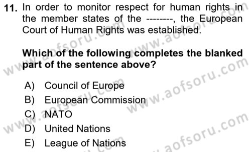 Introduction to Law Dersi Ara Sınavı Deneme Sınav Soruları 11. Soru