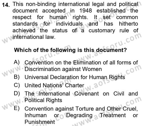 Introduction to Law Dersi Ara Sınavı Deneme Sınav Soruları 14. Soru