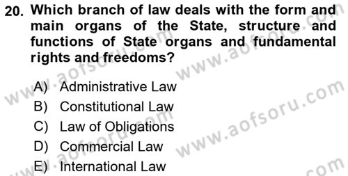 Introduction to Law Dersi Ara Sınavı Deneme Sınav Soruları 20. Soru