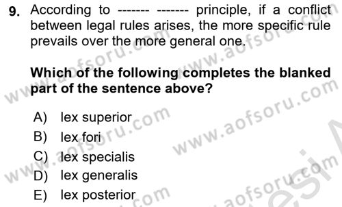 Introduction to Law Dersi Ara Sınavı Deneme Sınav Soruları 9. Soru