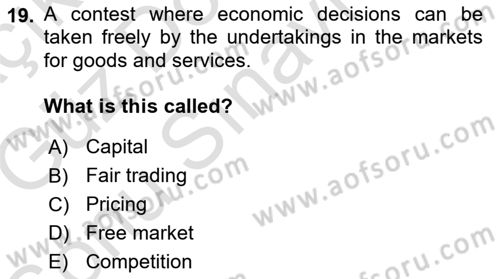 Introduction to Law Dersi 2019 - 2020 Yılı (Final) Dönem Sonu Sınav Soruları 19. Soru