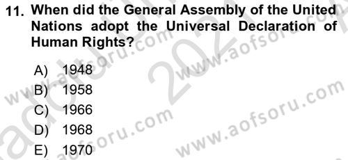 Introduction to Law Dersi Ara Sınavı Deneme Sınav Soruları 11. Soru