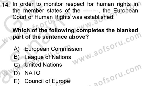 Introduction to Law Dersi Ara Sınavı Deneme Sınav Soruları 14. Soru