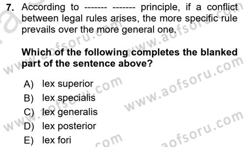 Introduction to Law Dersi Ara Sınavı Deneme Sınav Soruları 7. Soru