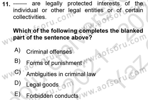 Introduction to Law Dersi 2021 - 2022 Yılı Yaz Okulu Sınav Soruları 11. Soru
