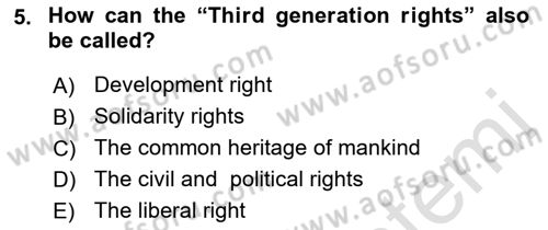 Introduction to Law Dersi 2021 - 2022 Yılı Yaz Okulu Sınav Soruları 5. Soru