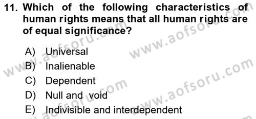 Introduction to Law Dersi Ara Sınavı Deneme Sınav Soruları 11. Soru